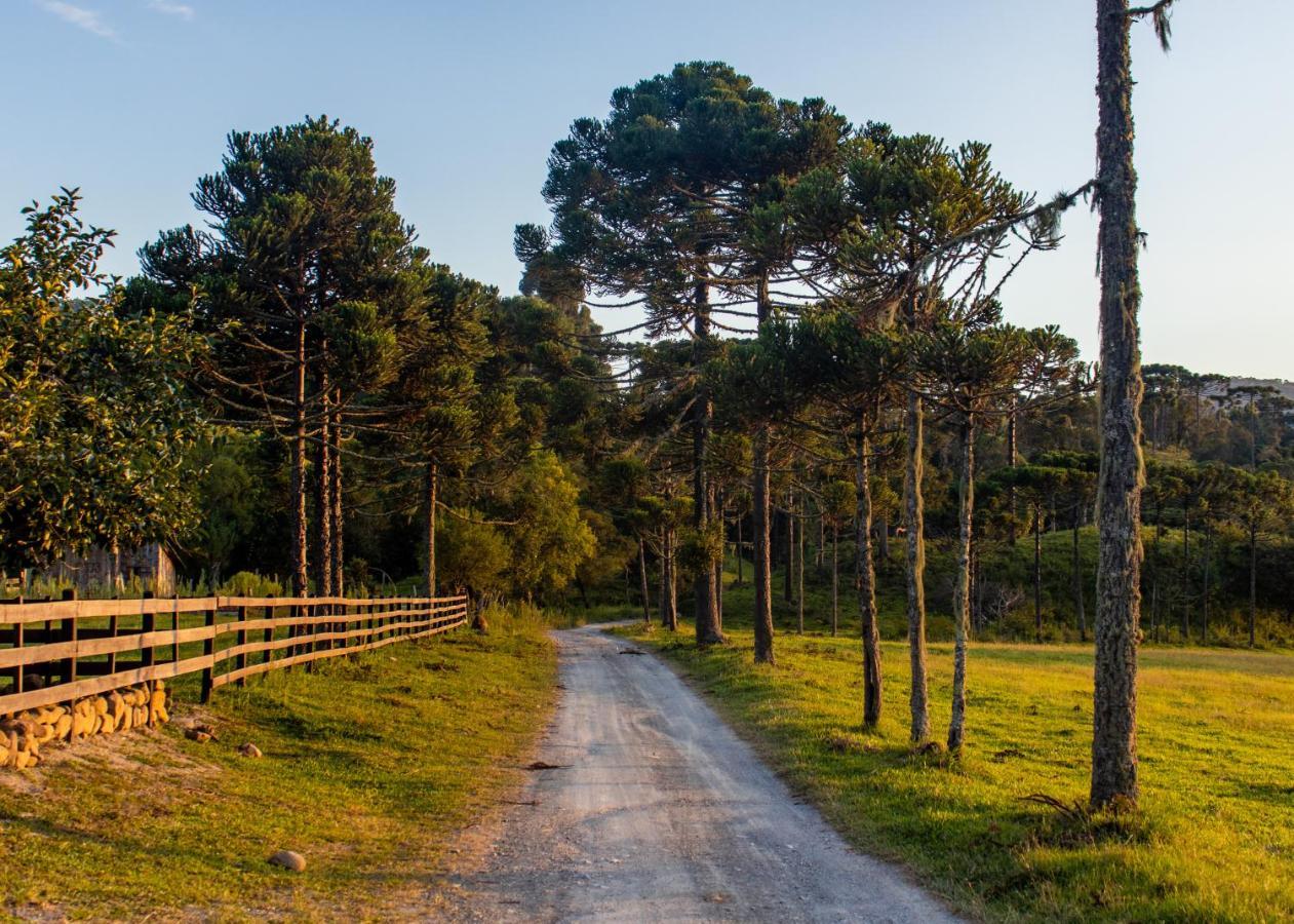 Hospedagem Rural Recanto Do Riacho ウルビシ エクステリア 写真