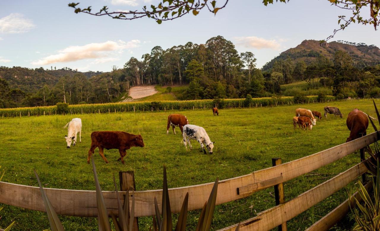 Hospedagem Rural Recanto Do Riacho ウルビシ エクステリア 写真
