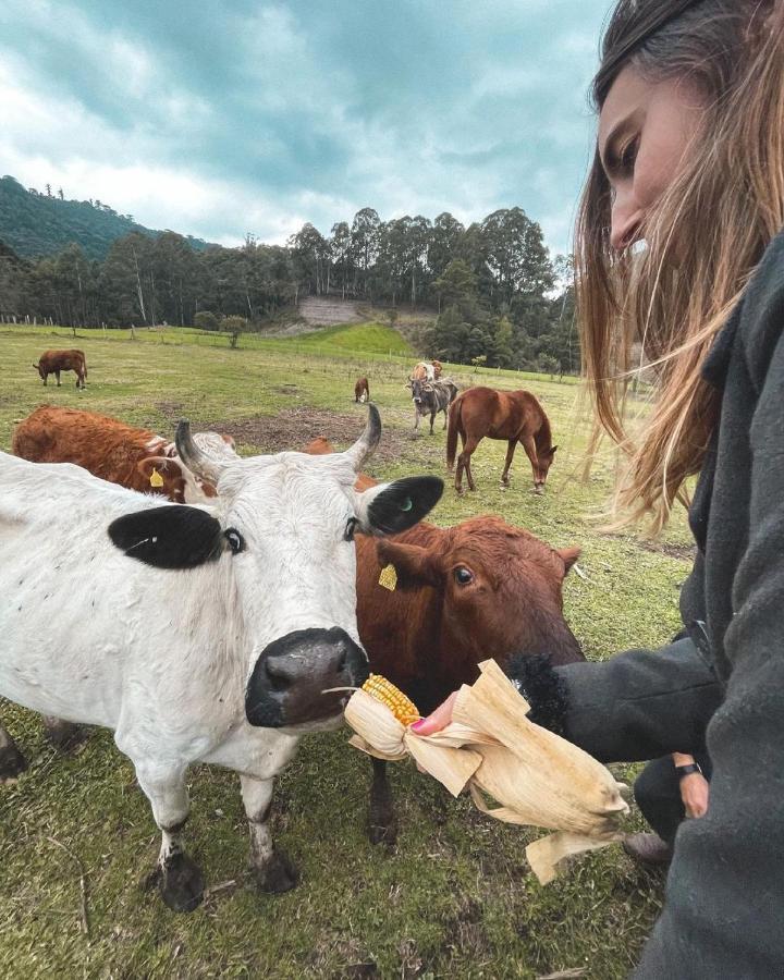 Hospedagem Rural Recanto Do Riacho ウルビシ エクステリア 写真